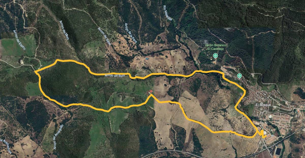 La ruta ciclista. - La ruta ciclista.