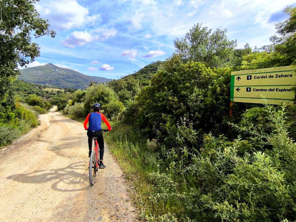 El camino del Espino. - El camino del Espino.