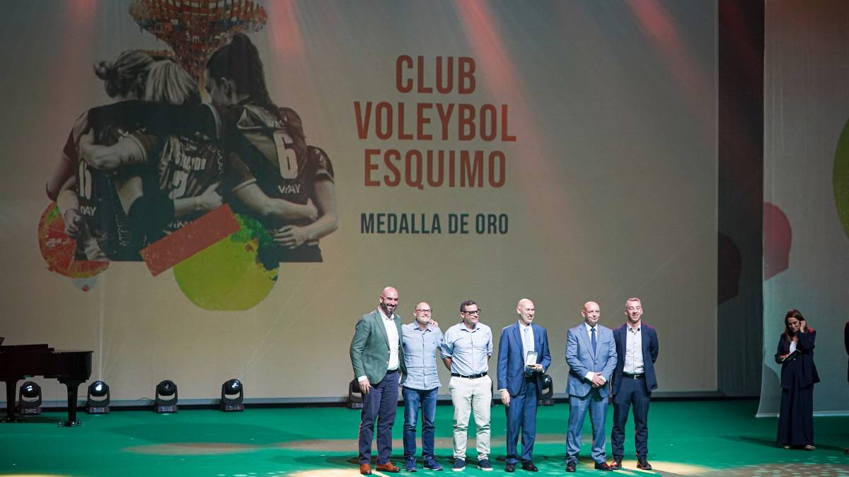 Medalla oro diputación de Sevilla