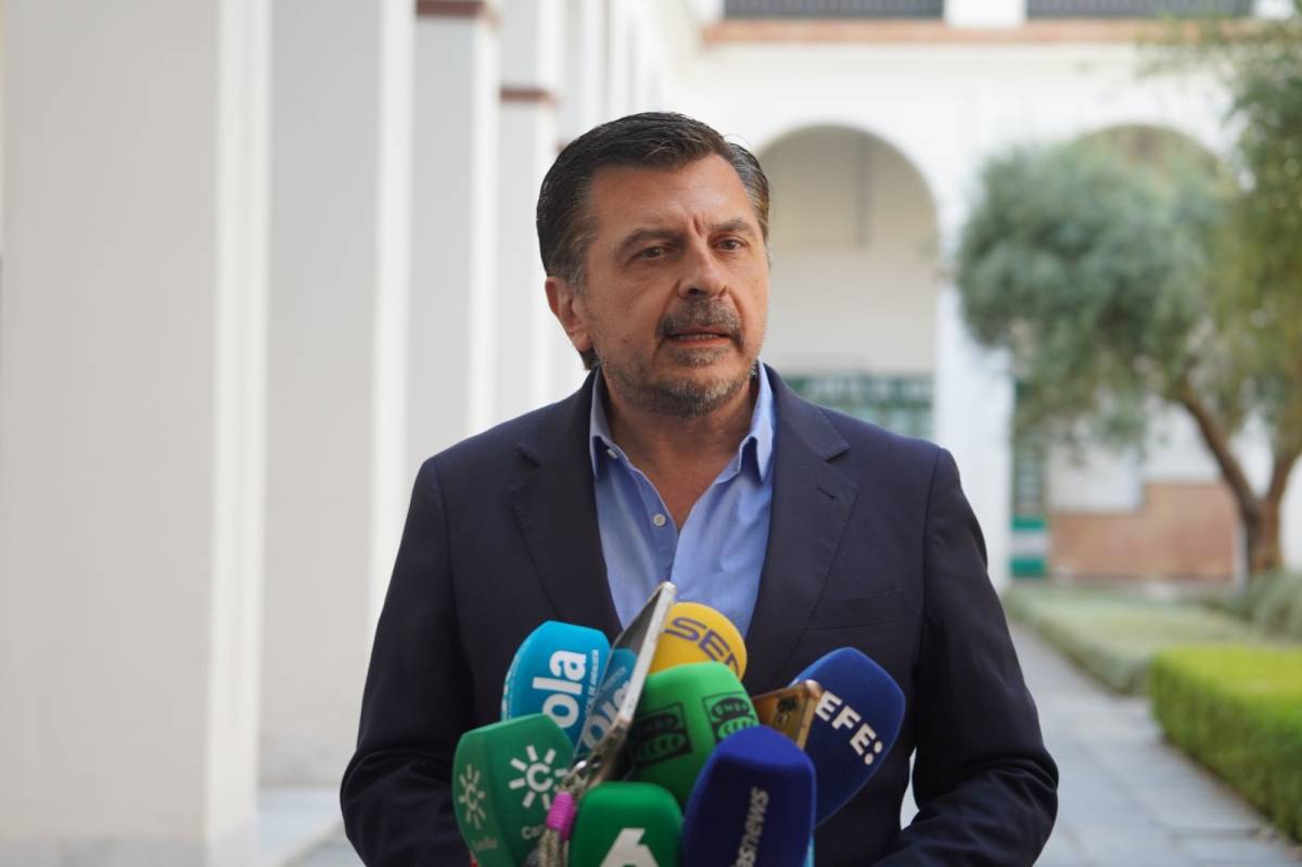 Toni Martín, portavoz del PP en el Parlamento andaluz. - 