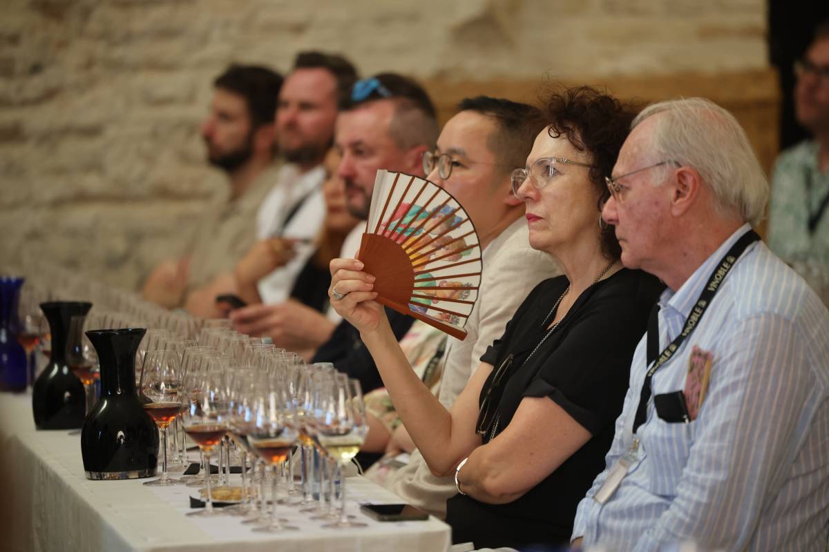 Vinoble 2026, un primer vistazo de urgencia