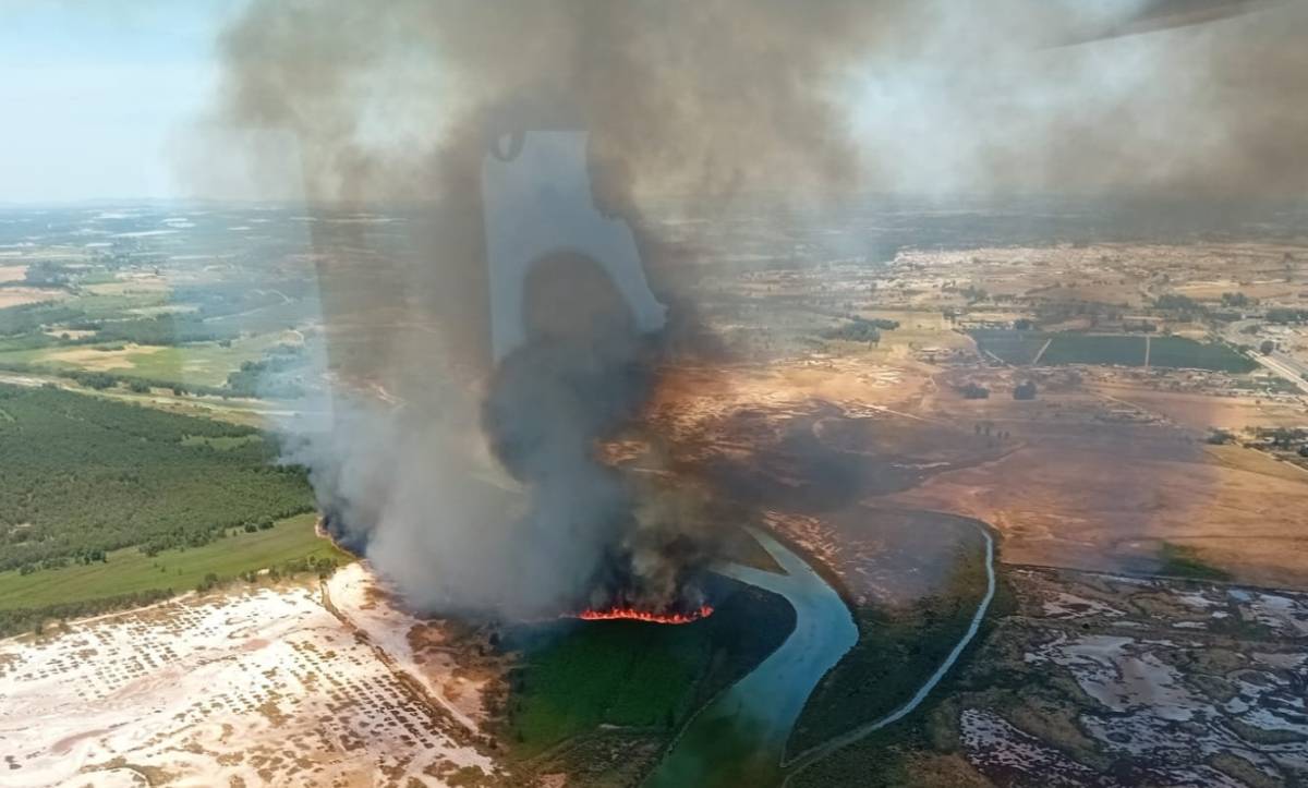Incendio en la provincia de Huelva, en una zona sensible cerca de las marismas del Odiel
