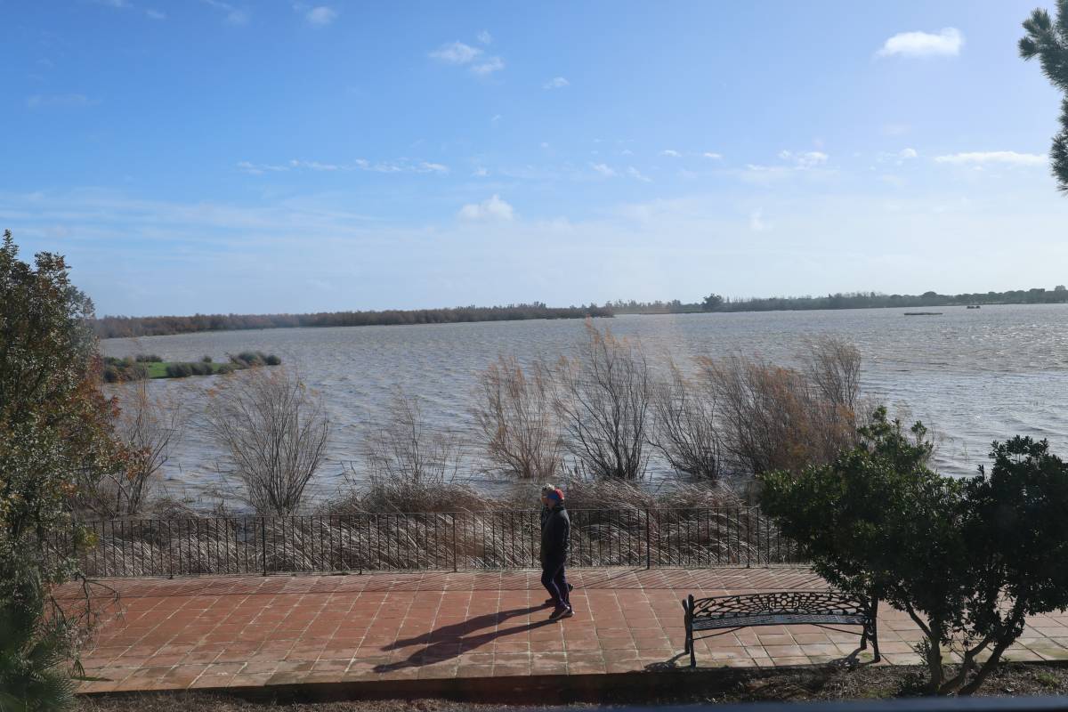 Restaurante Toruño Huelva El Rocio 
