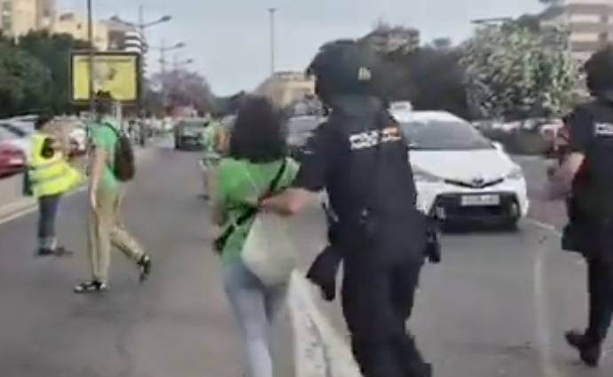 La Unión Federal de Policía dice que el objetivo del empujón a una manifestante en Valencia es 