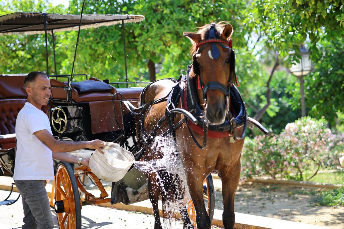El calor mata: no podemos seguir actuando como si fuera una excepción