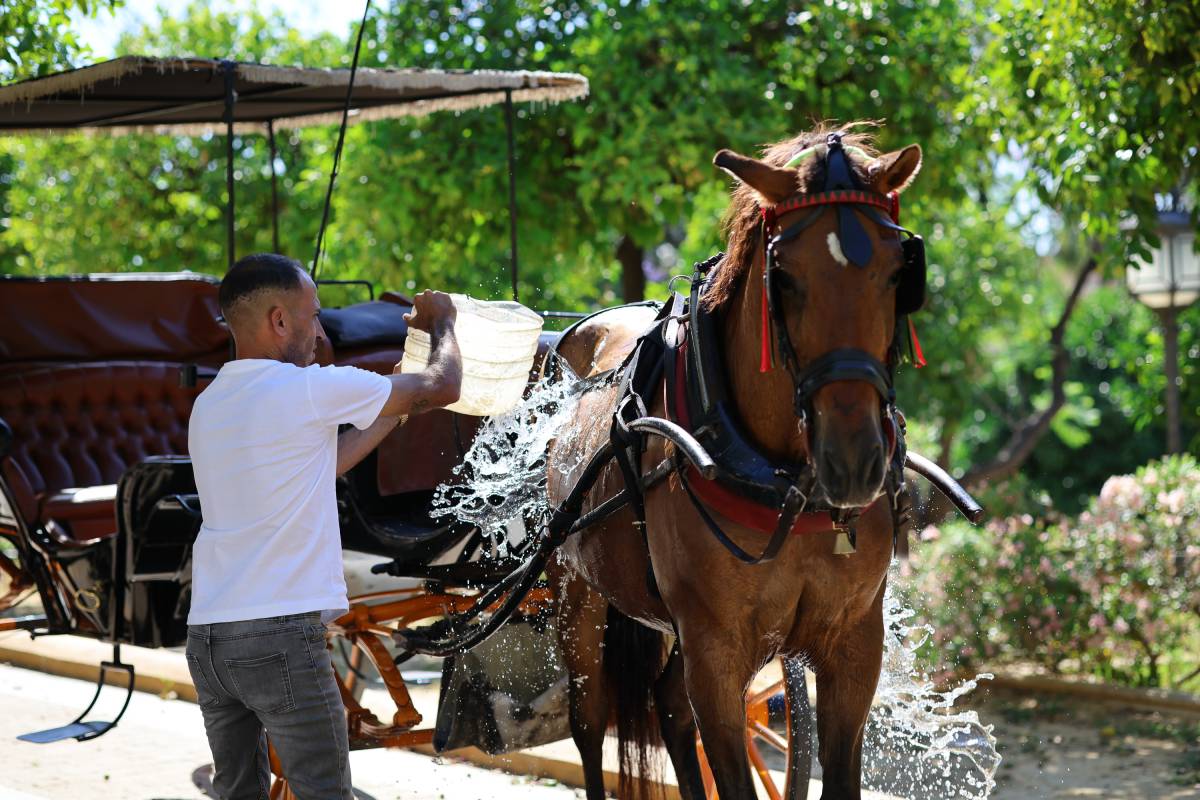 Otra jornada de calor extremo en Andalucía a la espera de la entrada de una masa de aire más fresco