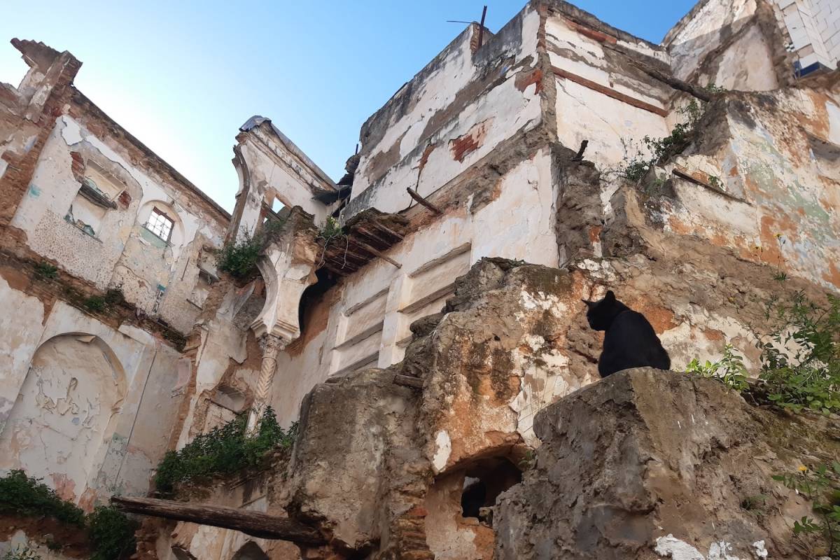 Casba de Argel, en una foto de Sergio Villalba. - 
