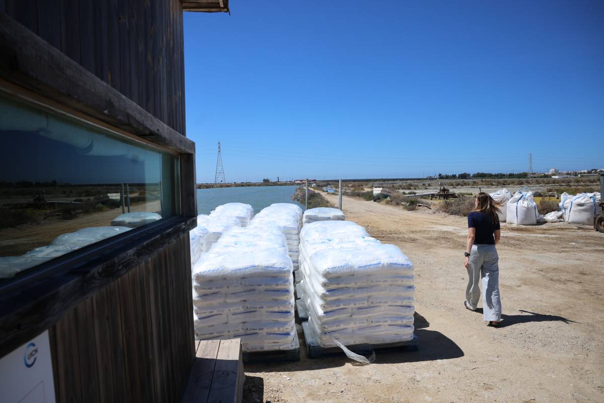 Salinas San Vicente en San Fernando hitos 