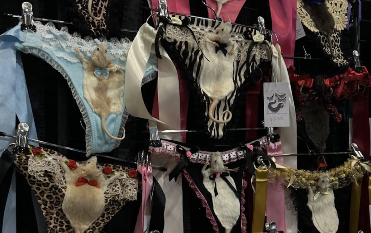 Ropa interior con ratas disecadas: la polémica colección de una diseñadora que vende cada pieza por más de 100 euros