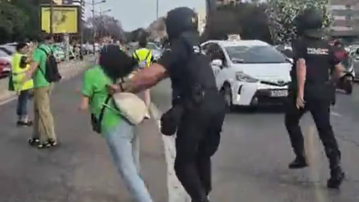 Momento del empujón del agente a la profesora en Valencia. - 