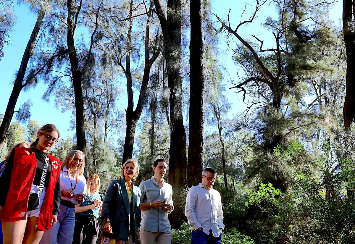 Cruz Roja reforestará un tercio del parque Santa Teresa de Jerez, un pulmón verde contra el cambio climático