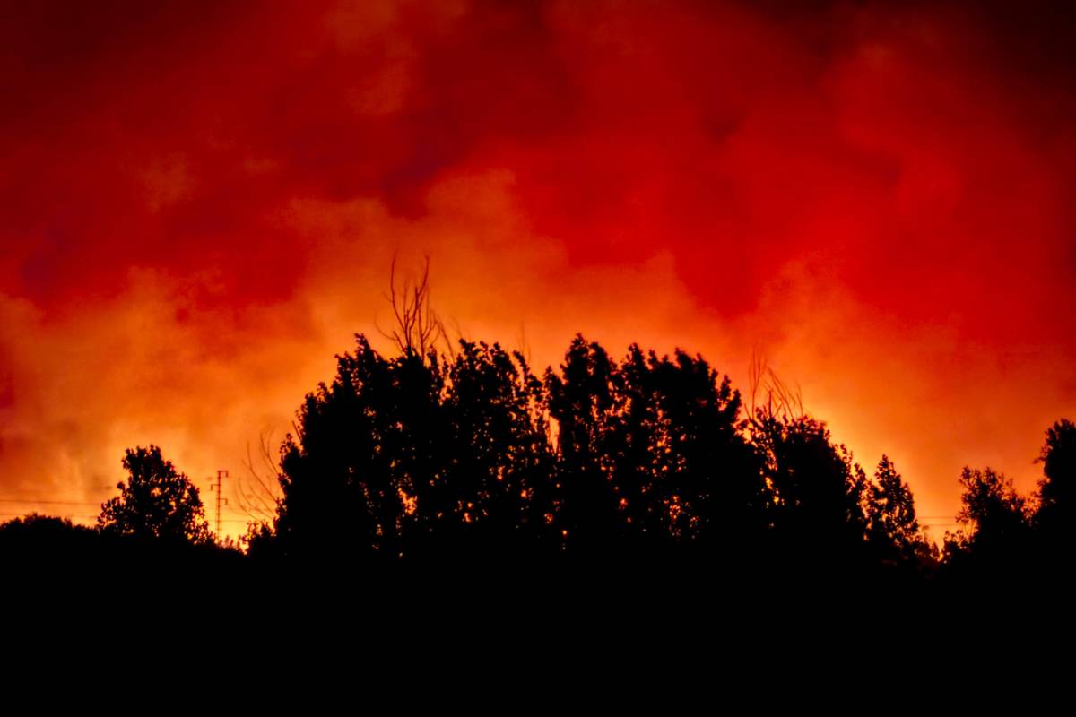 El incendio de Huelva supera las 2.000 hectáreas calcinadas: hay tres fuegos simultáneos entre la provincia onubense y Sevilla