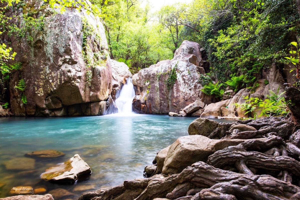 La alternativa perfecta al levante en Cádiz: una ruta de 50 minutos entre pozas, molinos y una selva tropical