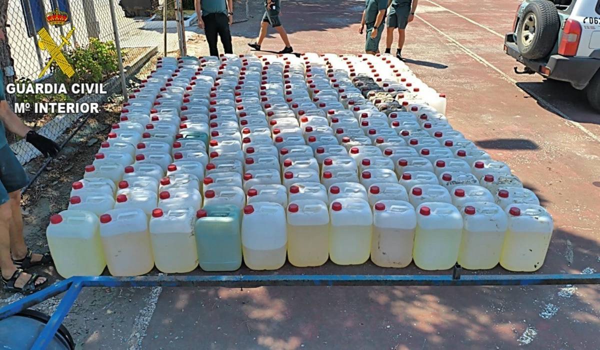 Nueva ofensiva contra el narco en Cádiz: cinco embarcaciones, 316 petacas, dos cultivos indoor y dos mujeres detenidas