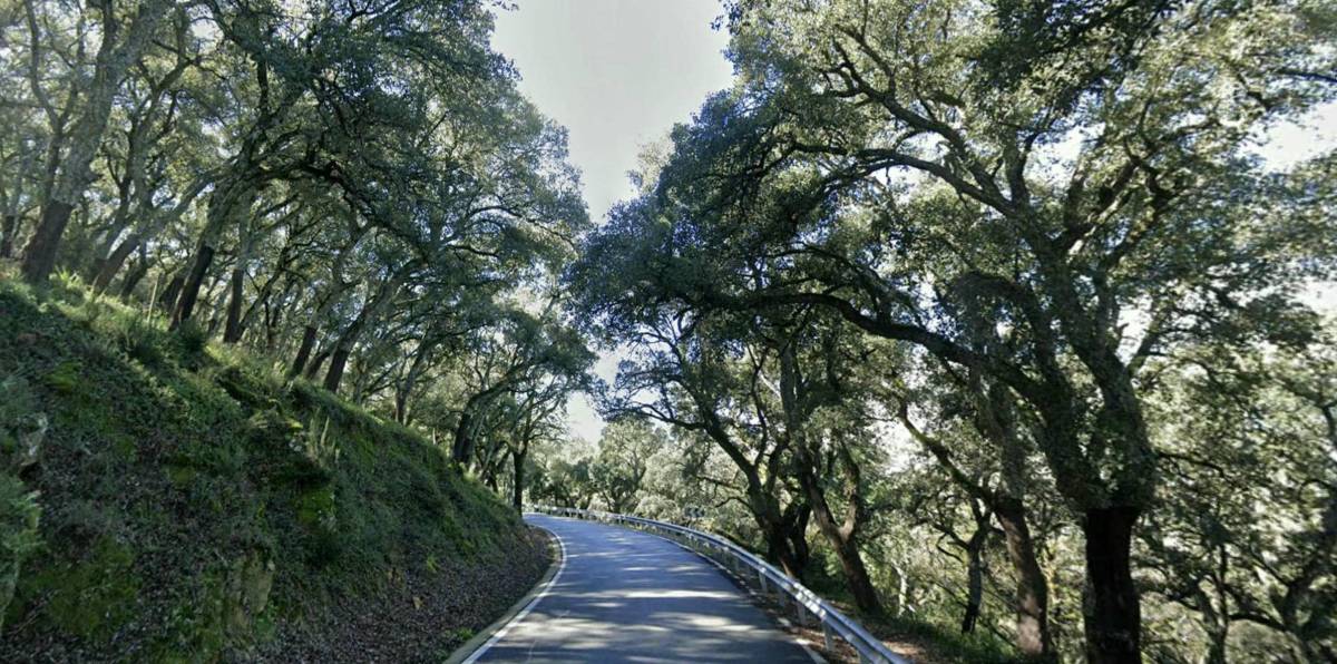Fallece un motorista de 55 años de Ubrique tras chocar su moto contra un camión en la carretera de Cortes