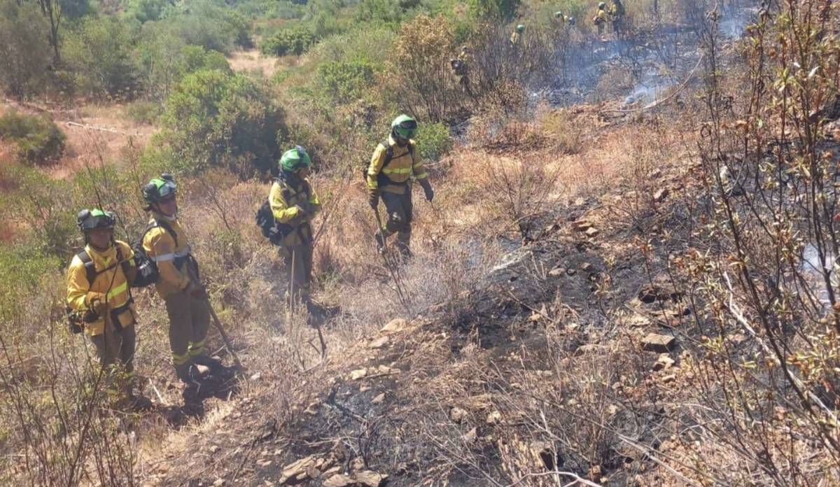 Sin efectivos ni recursos en plena campaña de alto riesgo de incendios en Andalucía