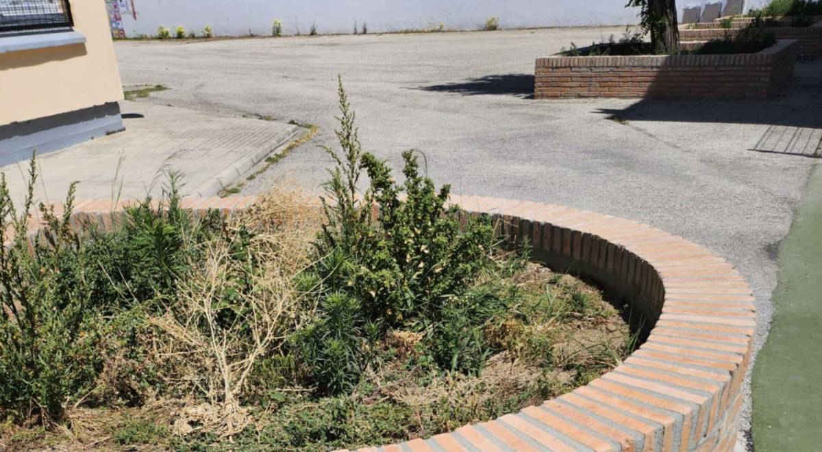 Familias de un colegio de El Puerto exigen retirar unos arriates tras el accidente sufrido por una alumna en el patio