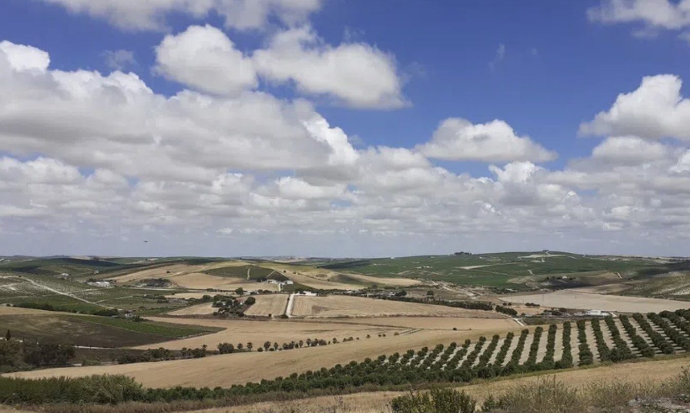 Única imagen compartida en 'Idealista' del cortijo que ha salido a la venta en Jerez. - 