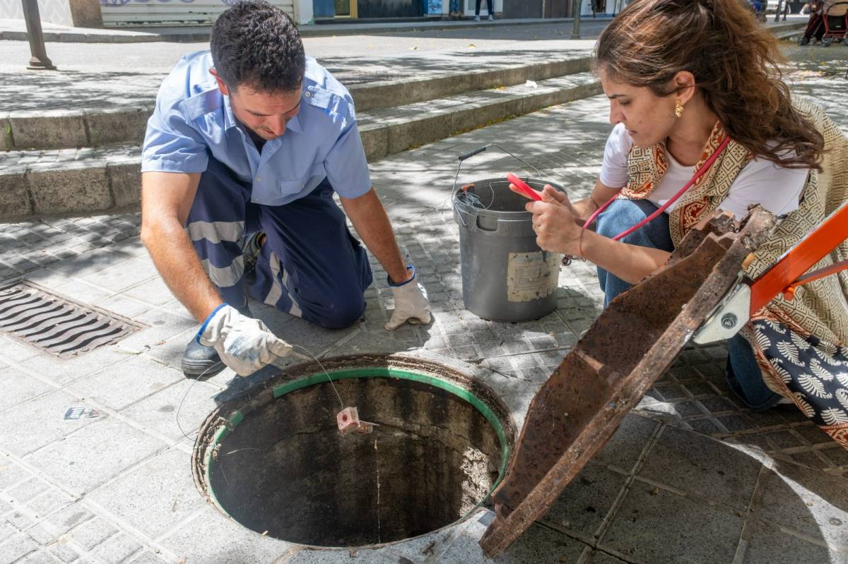 Operativo especial contra las plagas de roedores e insectos en un barrio de Cádiz
