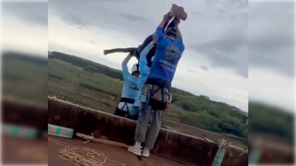 La desconcertante explicación de los trabajadores del puenting tras la muerte de una joven que está dando la vuelta al mundo