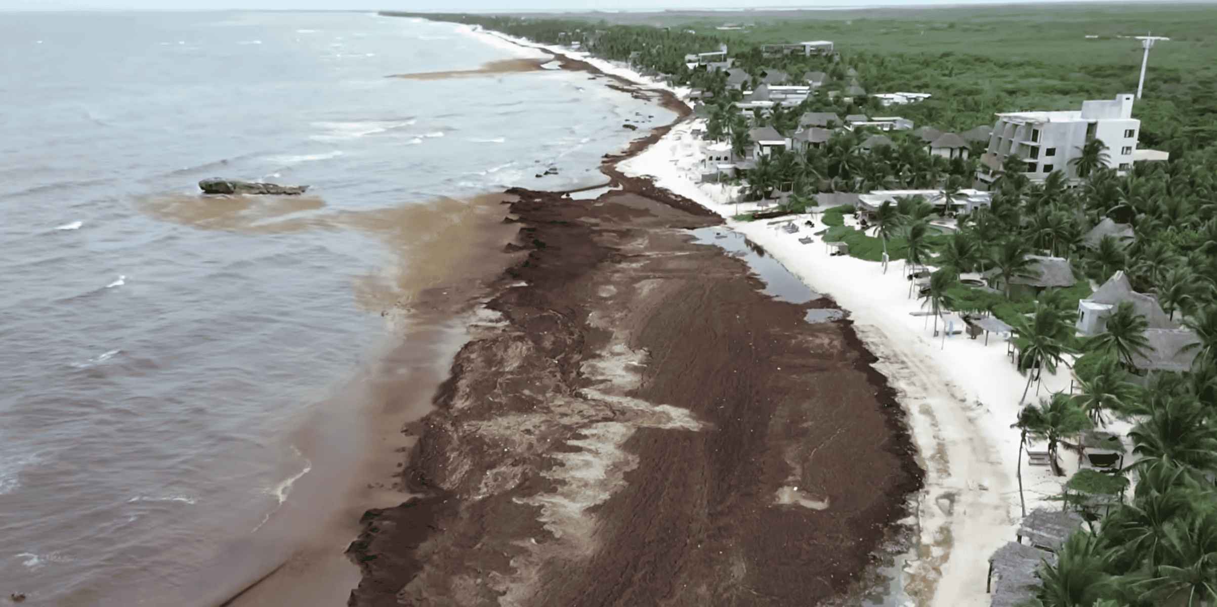 De conquistar a los turistas españoles a paraíso en crisis: hoteles abandonados y playas con olor a podrido en la Riviera Maya