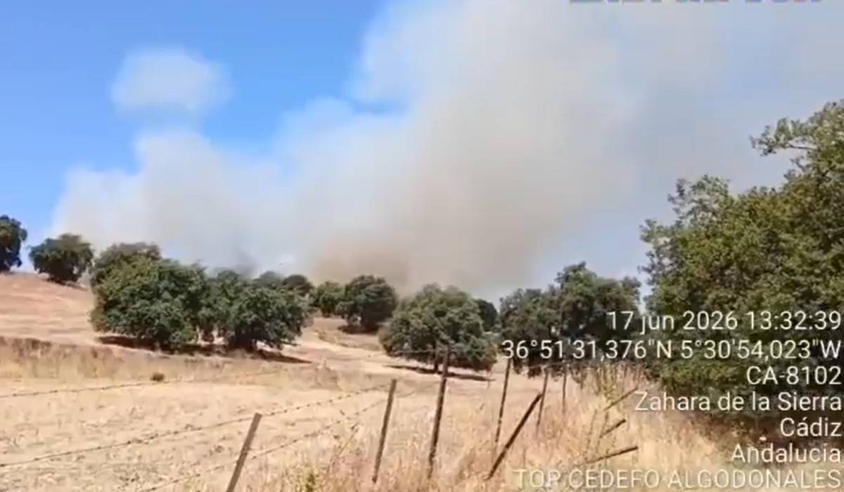 Un incendio forestal activa a dos helicópteros y una autobomba en Algodonales. - 