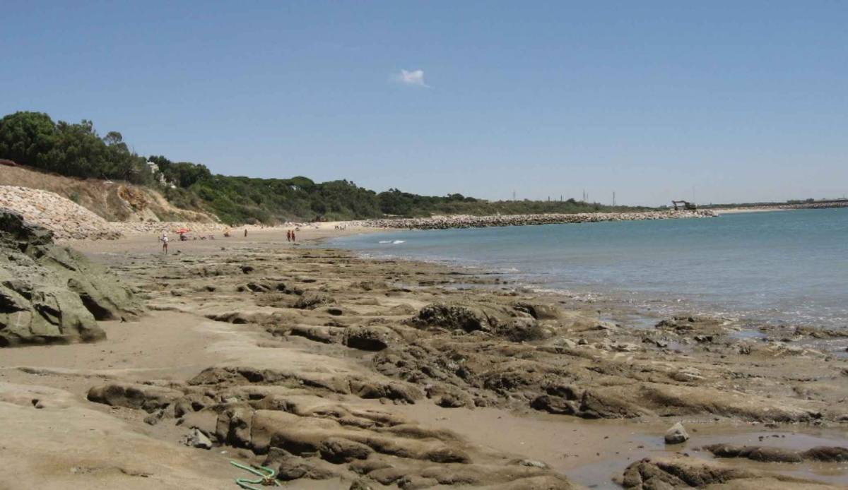 ¿Qué pasa con la playa canina de Rota?: comienza el verano sin espacio para las familias con perros