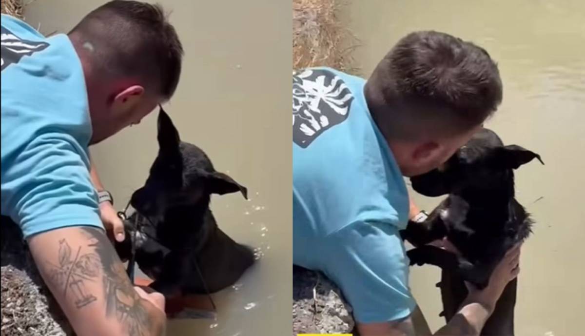 Atada a un ladrillo y a punto de morir en una acequia junto a su cachorro: una pareja evita la tragedia en Murcia