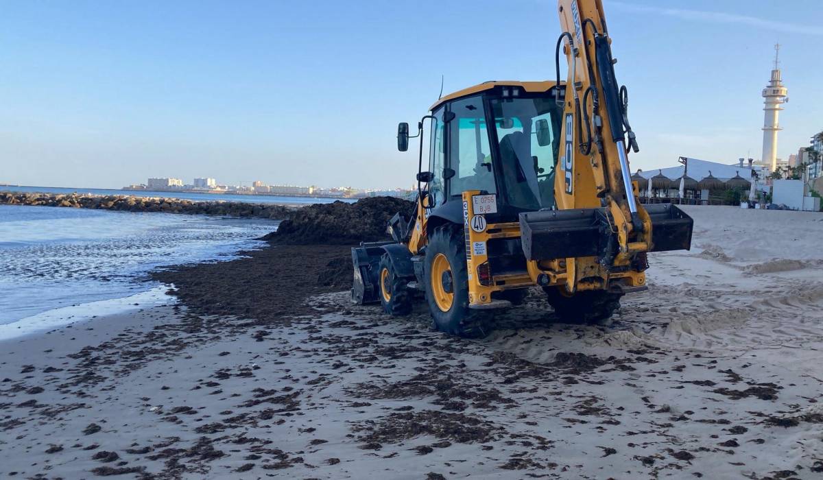 Atención bañistas en Santa María del Mar de Cádiz: zonas restringidas durante una semana por obras de regeneración