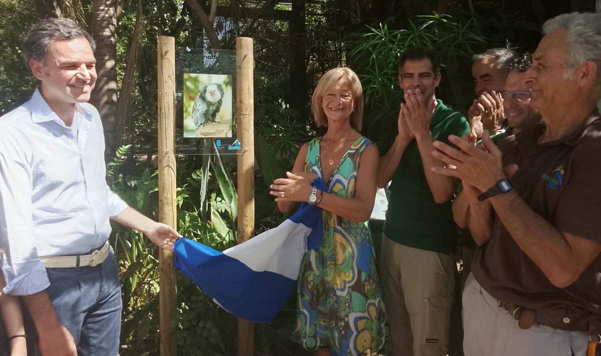 Los titíes de Geoffroy del Zoo ya tienen padrino: Jerez estrenará una pajarera por la que podrán caminar los visitantes