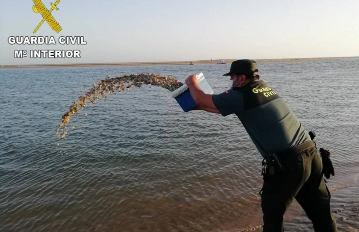 Cogiendo coquinas en una zona sin control en el Guadalete: un sanluqueño, cazado en El Puerto casi con las manos 'en la arena'