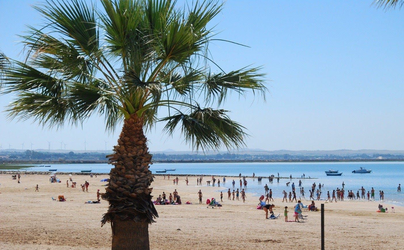 Esta es la solución de Puerto Real para que las mascotas puedan bañarse ante la falta de playa canina