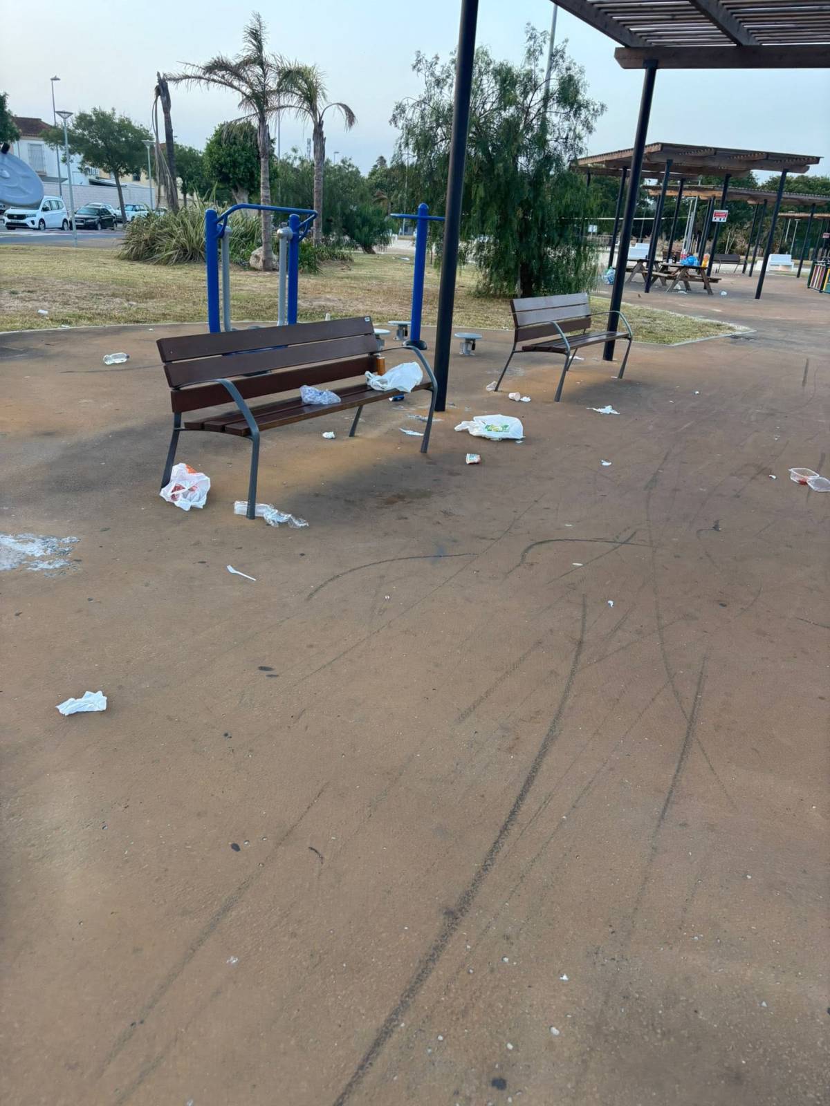 Estado del parque. - Estado del parque.