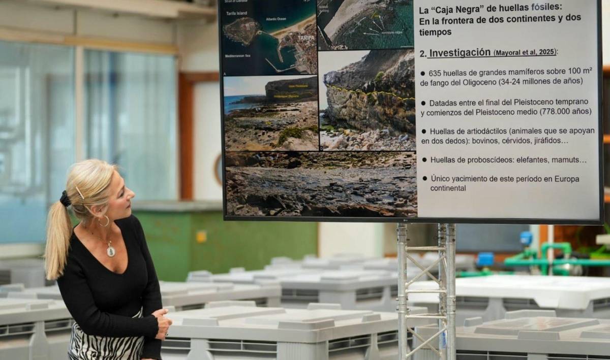 La consejera de Cultura y Deporte en funciones, Patricia del Pozo, durante una exposición del proyecto `Vestigium` - La consejera de Cultura y Deporte en funciones, Patricia del Pozo, durante una exposición del proyecto `Vestigium`
