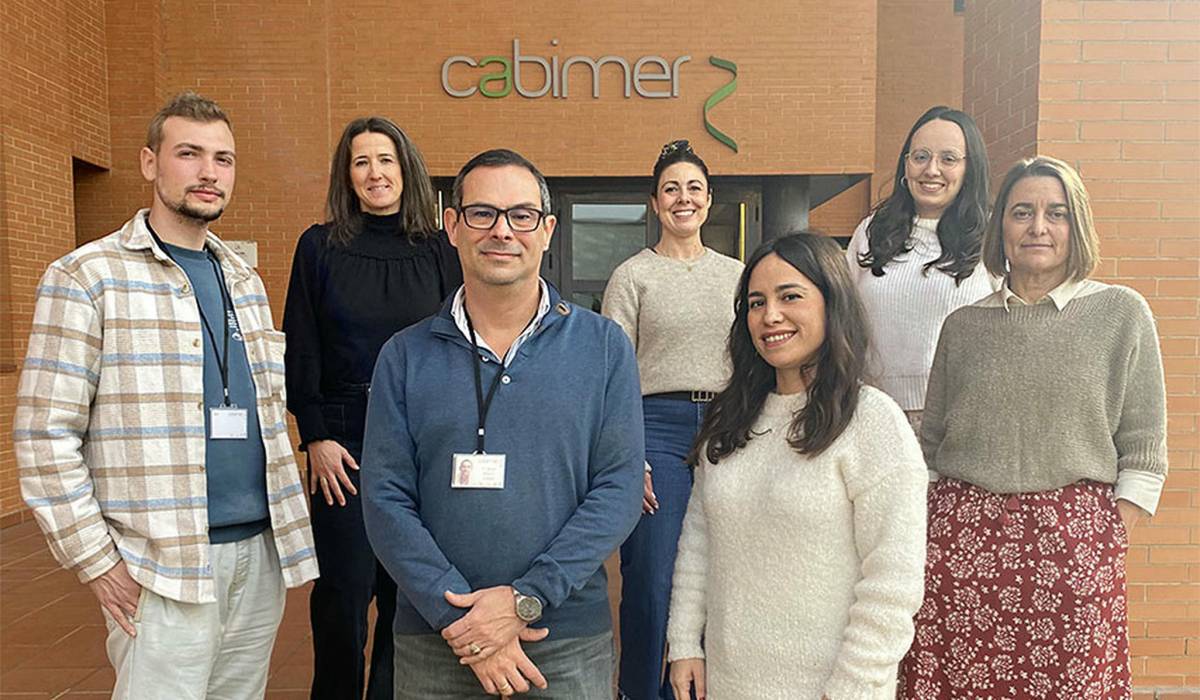 Nanopartículas para transportar genes: la prometedora investigación sanitaria que nace en Andalucía
