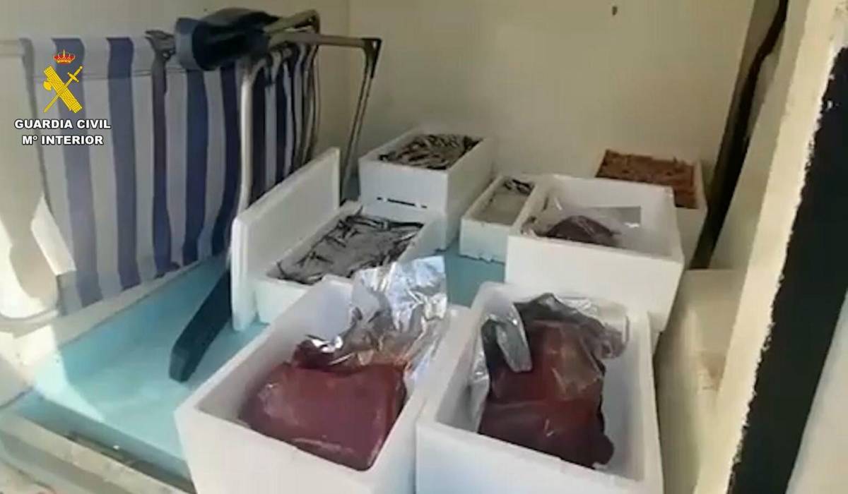 La Guardia Civil interviene pescado y marisco sin control sanitario en El Puerto - La Guardia Civil interviene pescado y marisco sin control sanitario en El Puerto