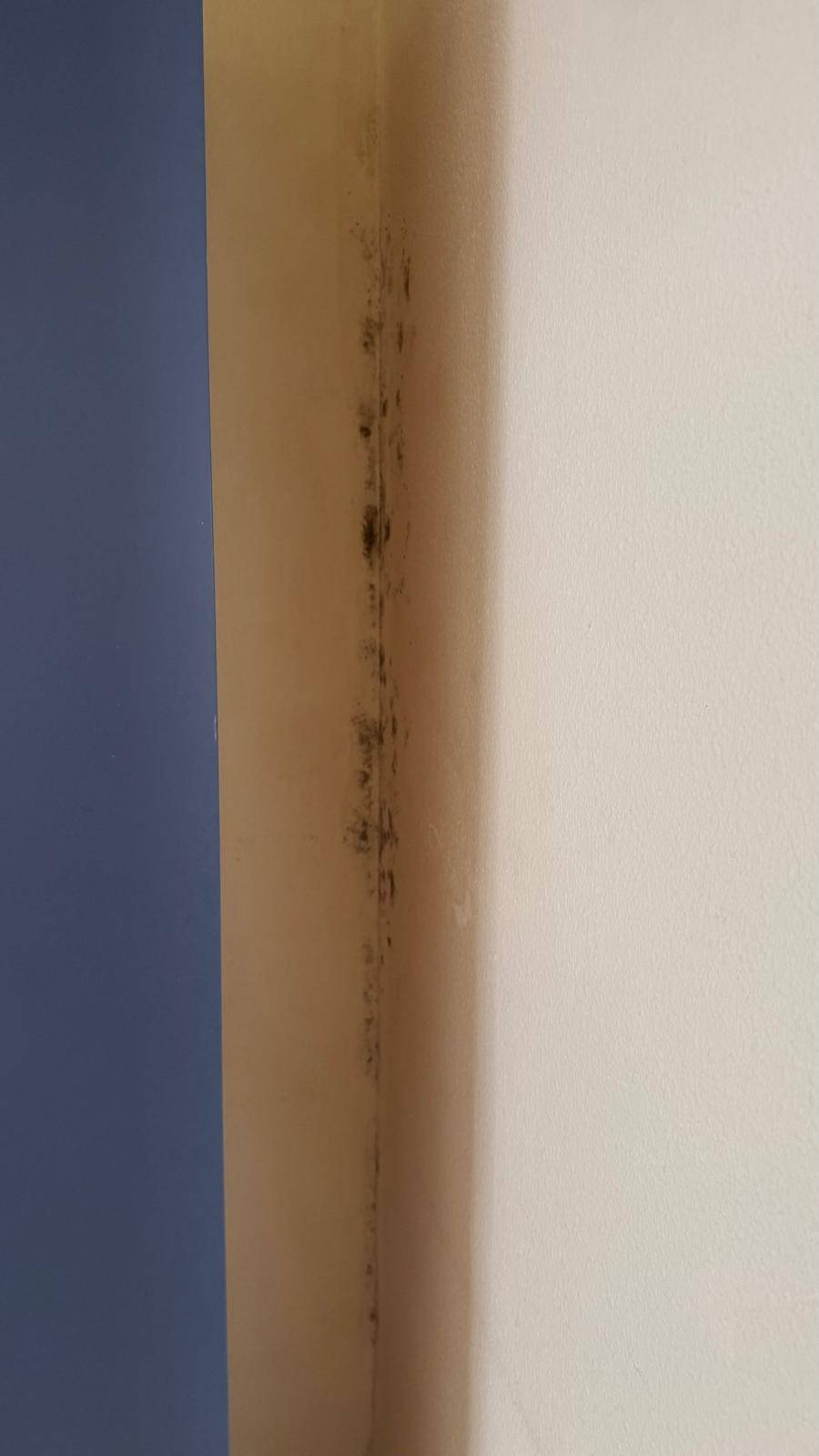 Zonas con humedades en el Hospital de Jerez.