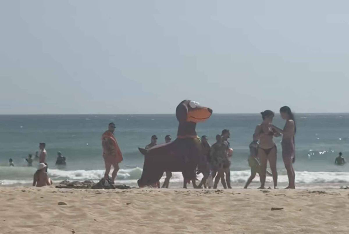Un gigante 'perro salchicha' revoluciona una playa en Conil y llama la atención hasta de la Policía