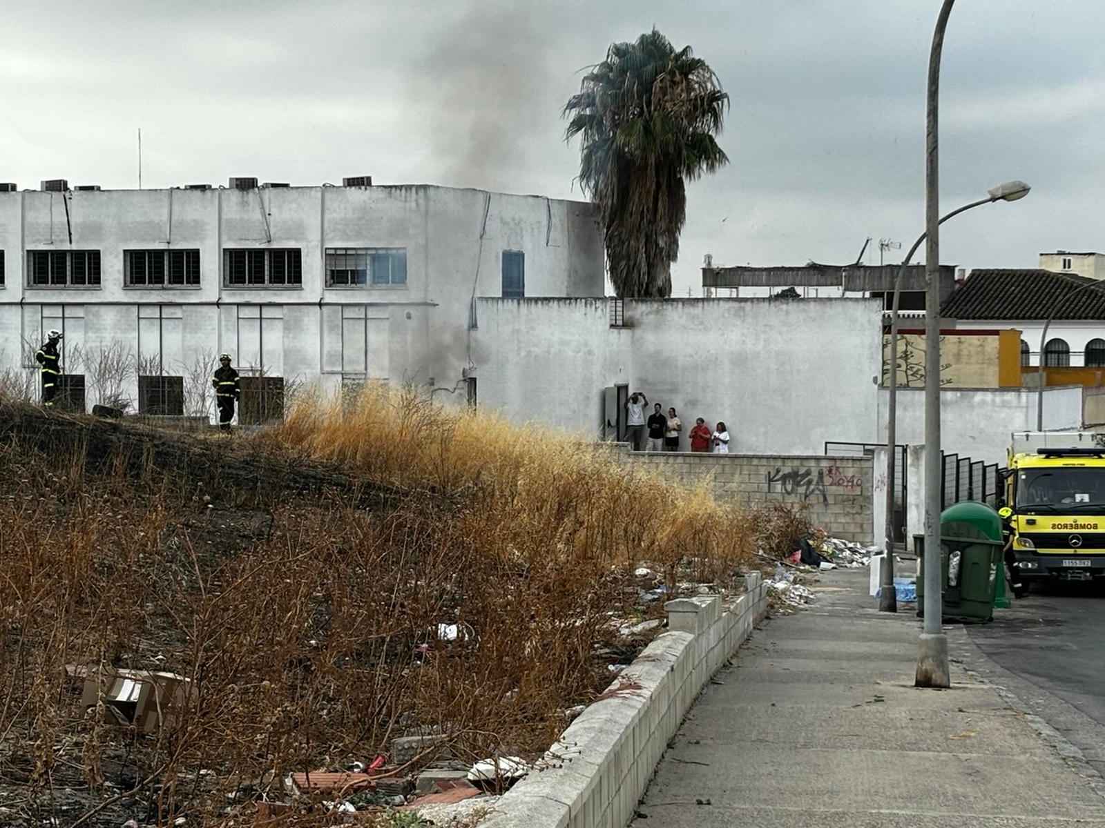 Otra imagen del incendio en Federico Mayo.