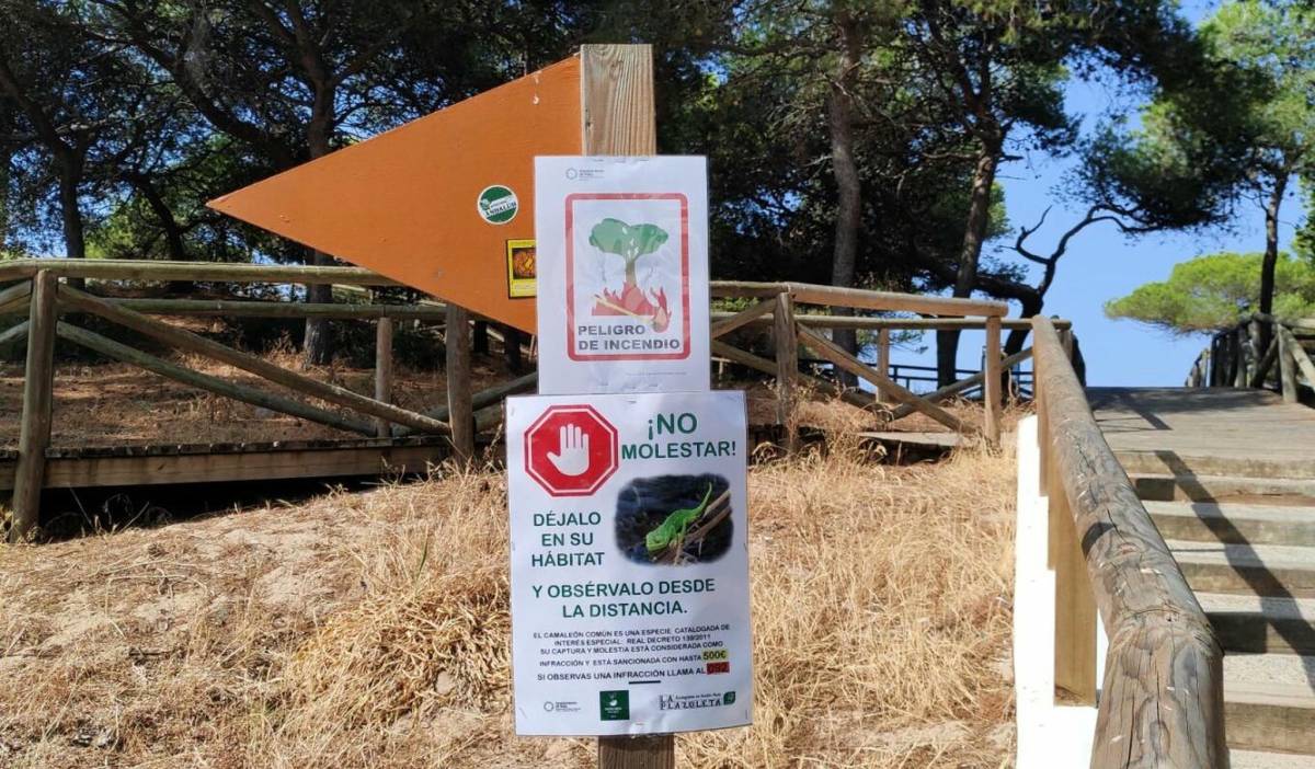 Rota llama a cuidar sus montes ante el riesgo de incendios - Rota llama a cuidar sus montes ante el riesgo de incendios