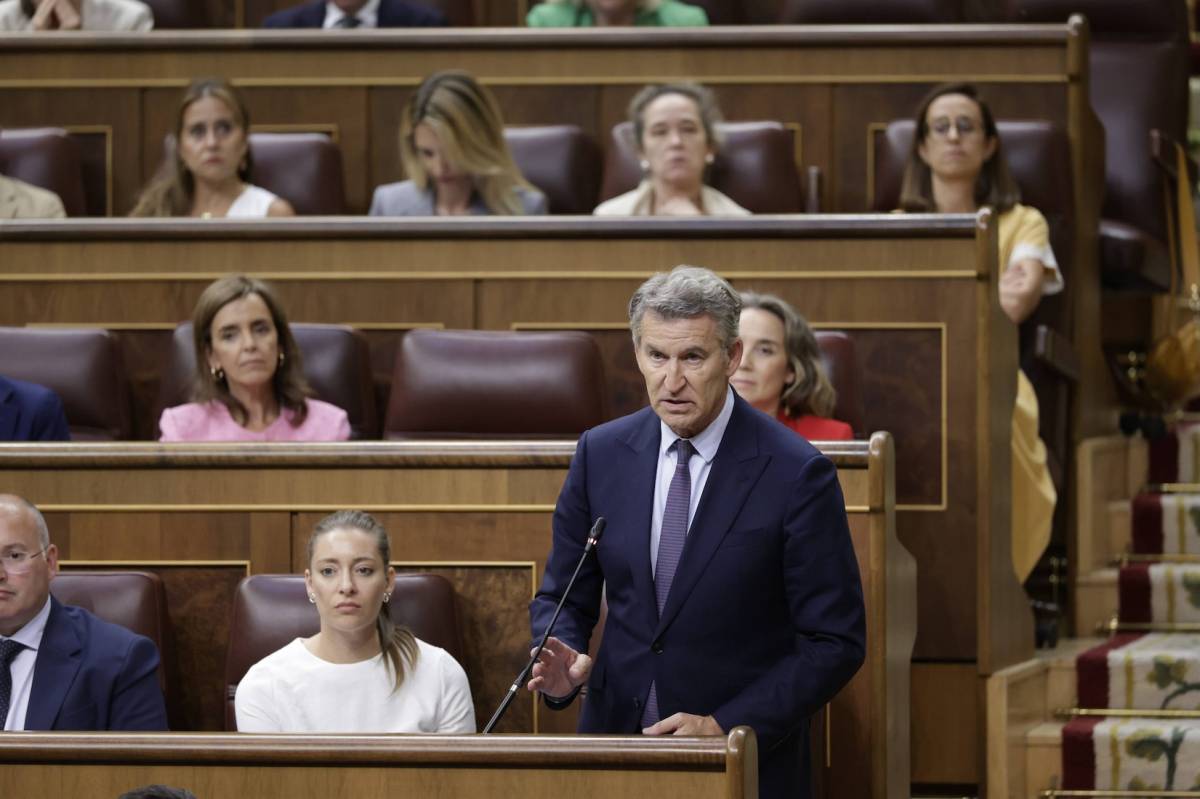 El líder del PP, Alberto Núñez Feijóo, durante su intervención en el Congreso.