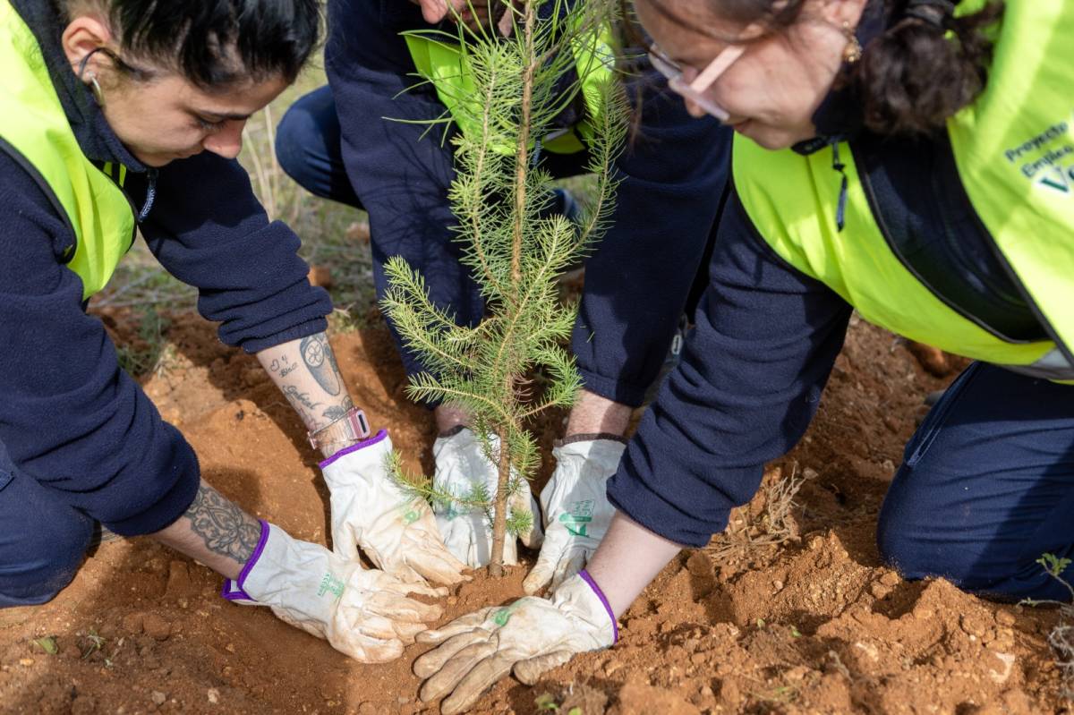 Más de 13.000 árboles, arbustos o palmeras nuevos convierten a Alcalá de Guadaíra en un municipio más saludable