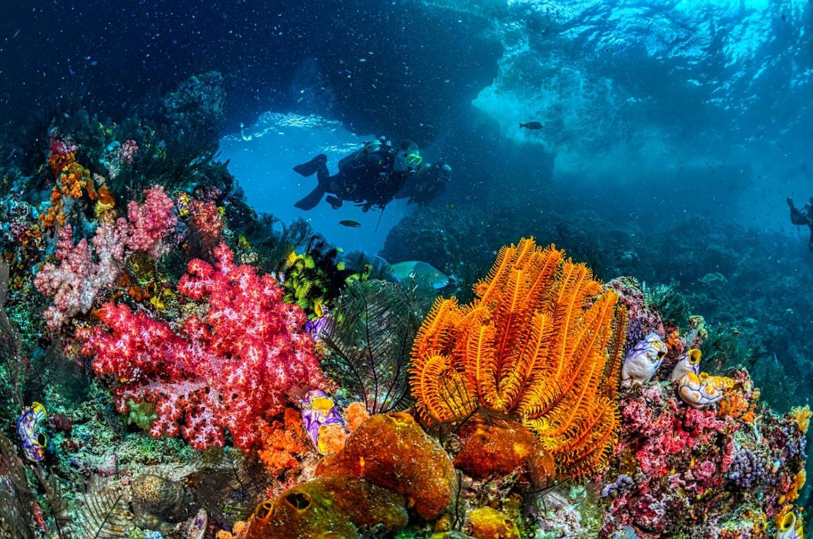 Buceo en Bali, en una imagen de la web de turismo del país.