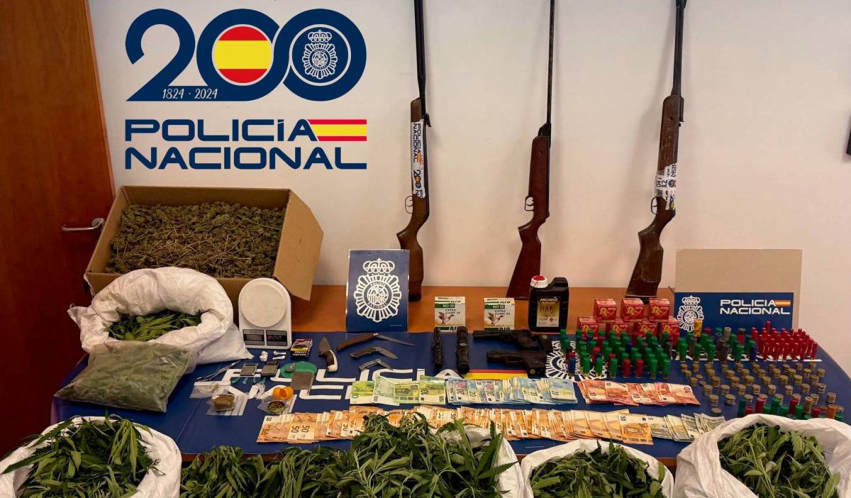 Escopetas, armas de distinto calibre y una pistola táser: así protegían una plantación de marihuana en Sevilla