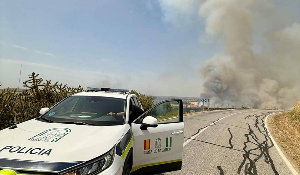 Una quema de rastrojos, origen del fuego en Málaga que obligó a desalojar varias familias y quemó 85 hectáreas