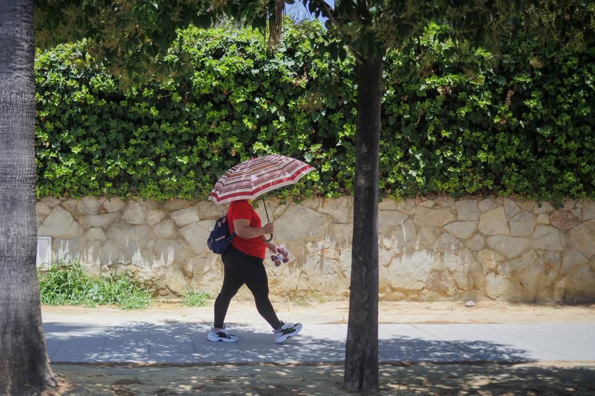 Jerez y la Campiña, en aviso amarillo por calor este martes y miércoles: podrían superarse los 40 grados