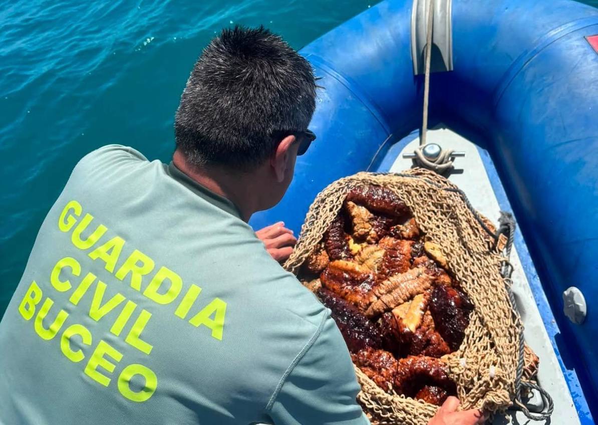 Buzos de la Guardia Civil que vigilaban en un campeonato de pesca submarina se topan con pescadores furtivos de pepinos de mar en Cádiz