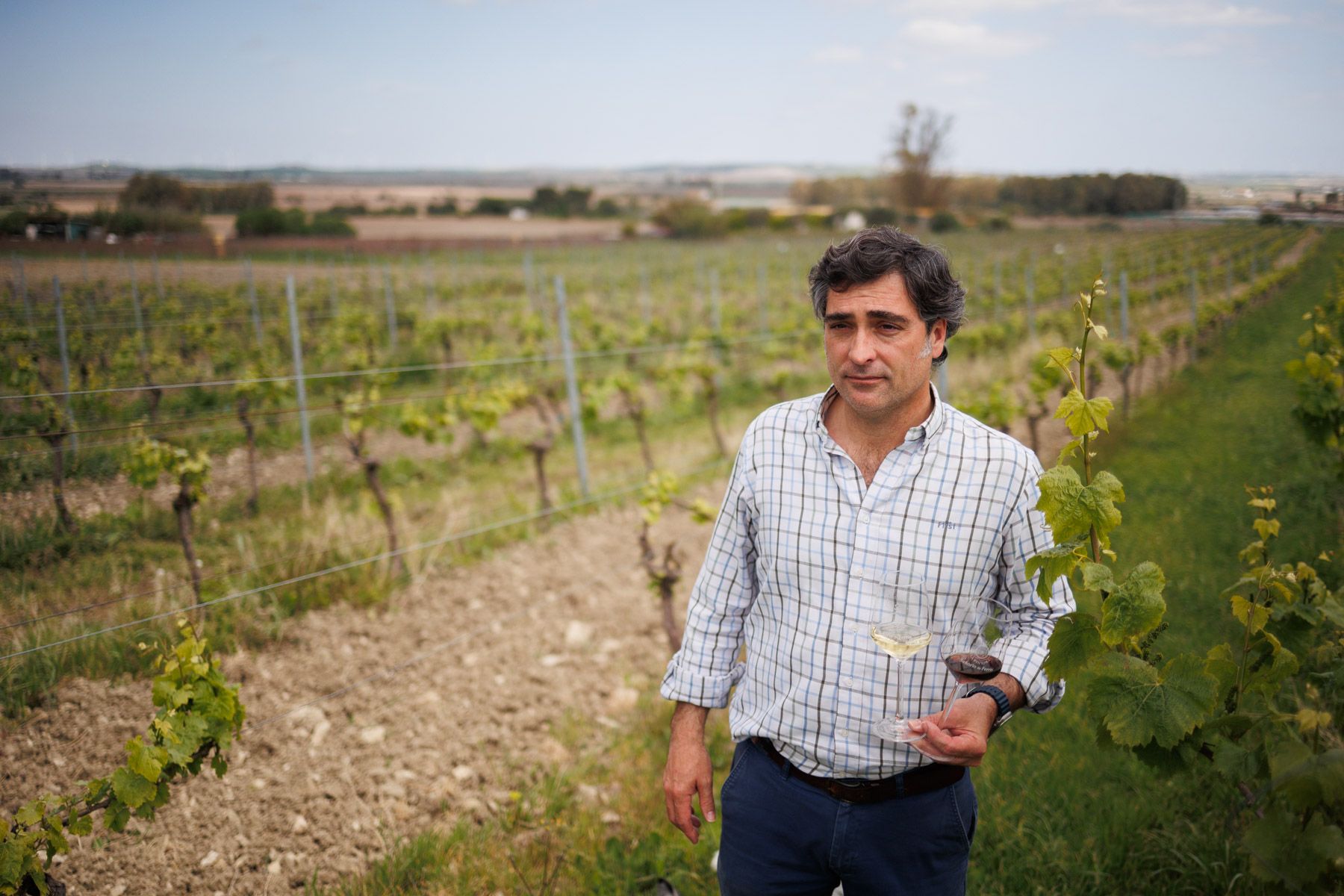 Finca La Pintora: la pequeña viña familiar de Rota que rescata la tintilla y conquista Vinespaña