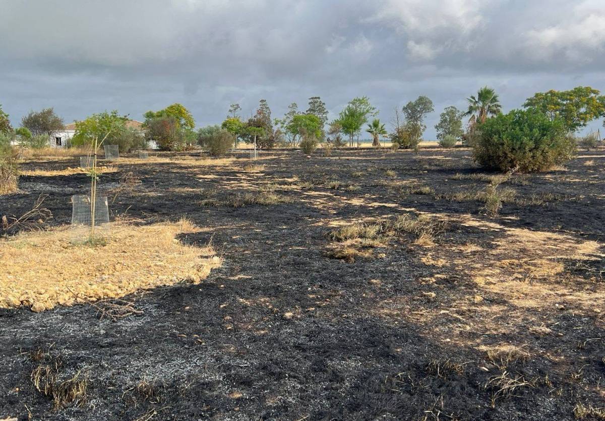 El último fuego intencionado en el Cerro de las Cigüeñas ha terminado con la últimas plantaciones de los voluntarios.