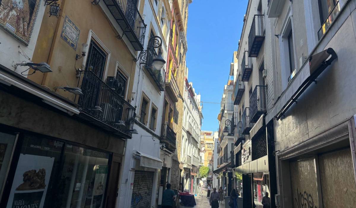 El PSOE denuncia que Sevilla tiene menos sombra pese al contrato de 1,7 millones - El PSOE denuncia que Sevilla tiene menos sombra pese al contrato de 1,7 millones
